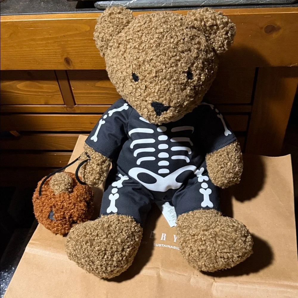 Pottery Barn Theo The Teddy Trick or Treating Pillow BN - Picture 6 of 7